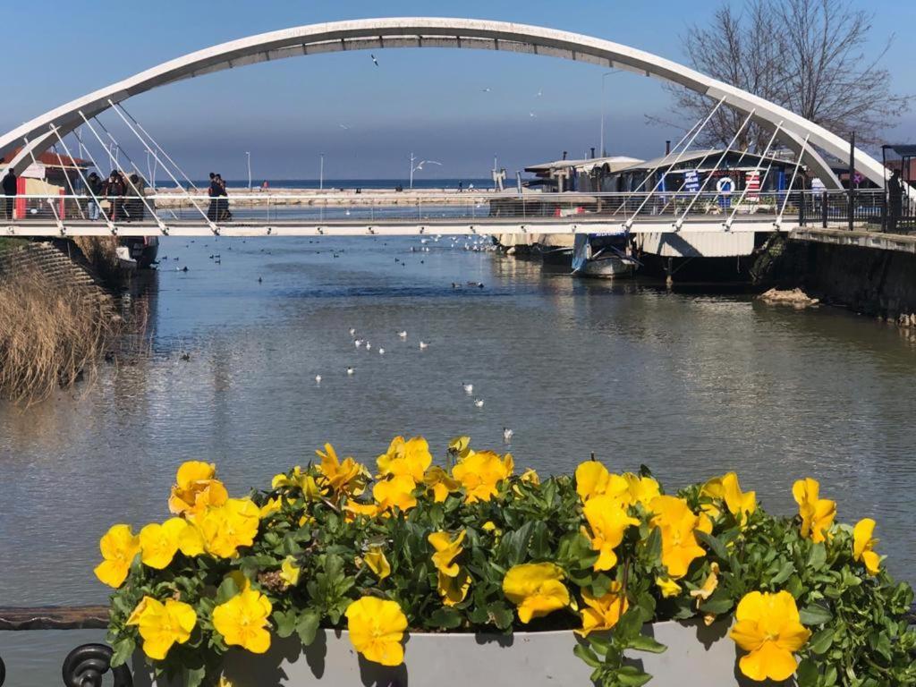 Yalova_Merkez Yalova  Buitenkant foto